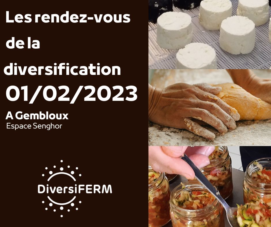 Rendez vous de la diversification 2023 – v2