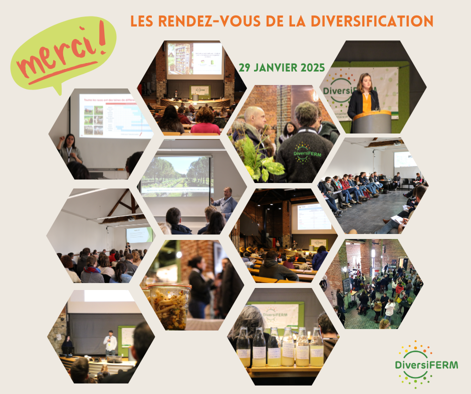 DiversiFERM_RDVD2025-Merci