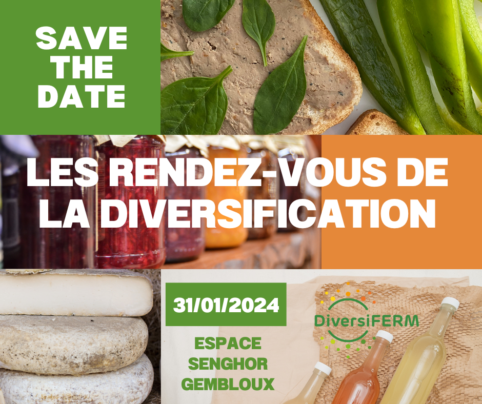 RDVD24-SavetheDate