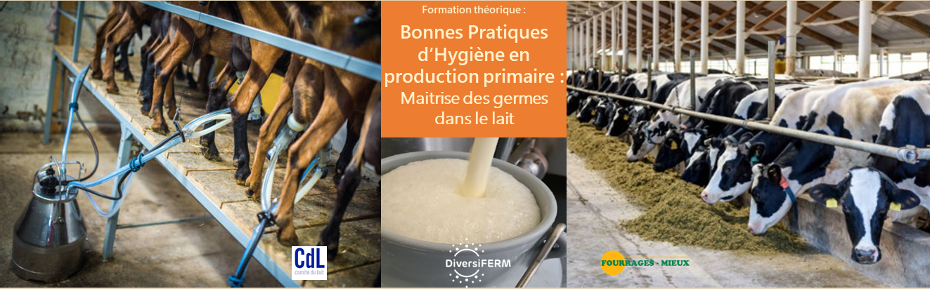 Formation-DiversiFERM-BPH-prod-lait