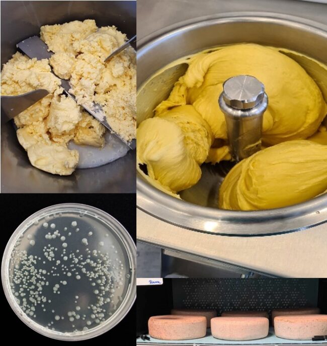 formation-analyses-prod-lait