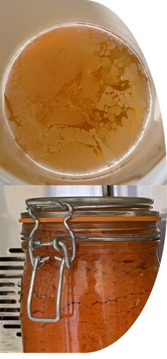 Image_fermentation