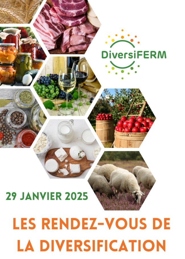 Invitation RDVD 2025