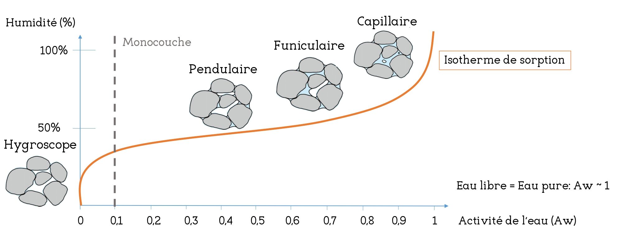 Humidité_Sorption