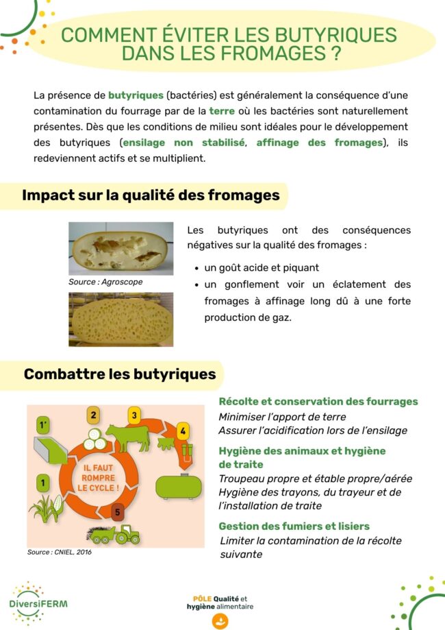 fiche butyriques 2025 – DiversiFERM