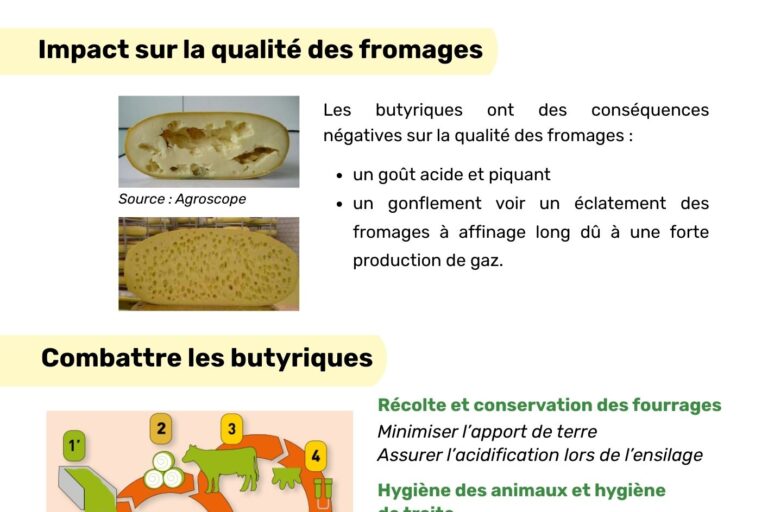 fiche butyriques 2025 – DiversiFERM