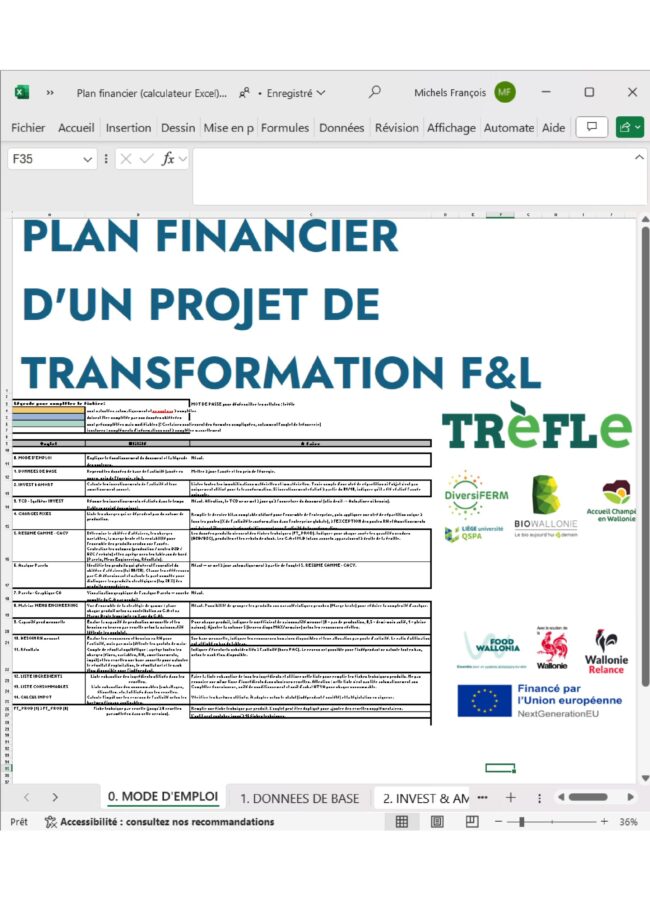 plaquette Plan financier (calculateur Excel) d’’un projet de transformation de F&L
