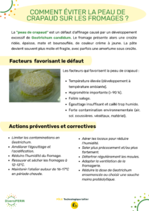 Article DiversiFERM2026 - la peau de crapaud